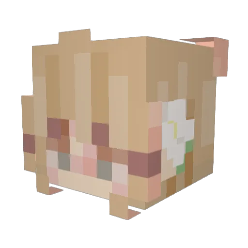 dearesttdoe Minecraft avatar head, 3D render