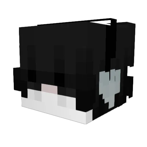 dearsa Minecraft avatar head, 3D render