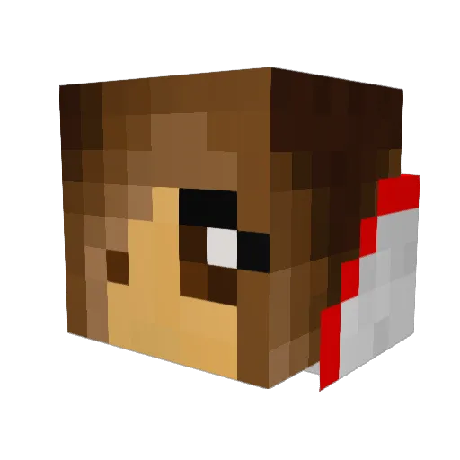 death9041 Minecraft avatar head, 3D render