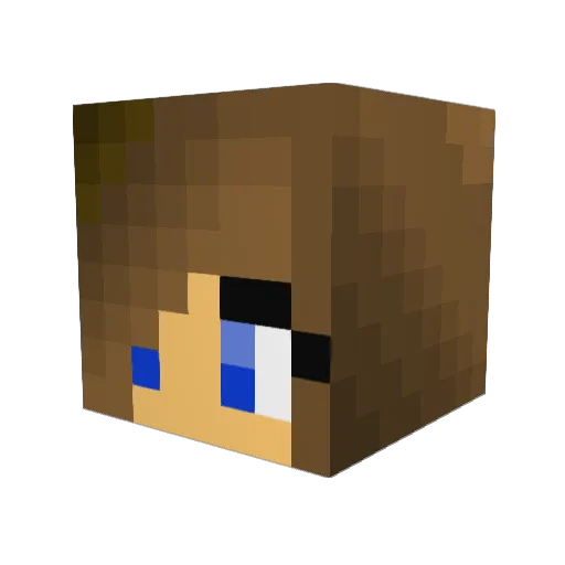 deathcraft500 Minecraft avatar head, 3D render