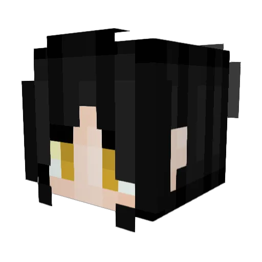 deathinfection3 Minecraft avatar head, 3D render