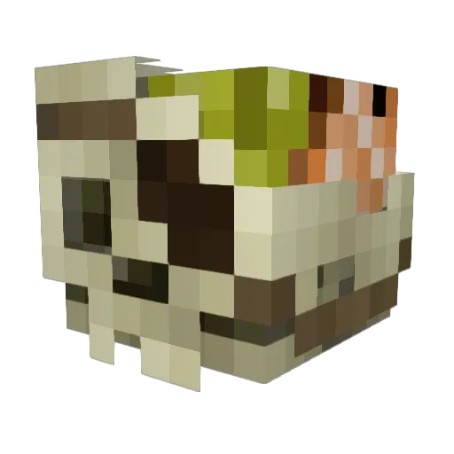 deathmood Minecraft avatar head, 3D render