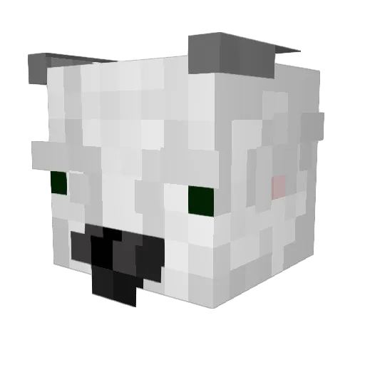 deathnote4lifu Minecraft avatar head, 3D render