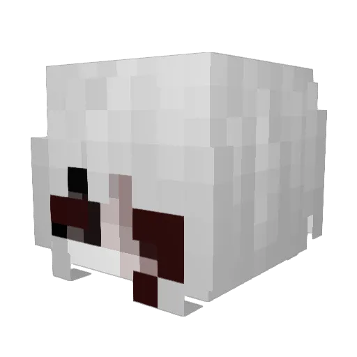 deathpenaltyy Minecraft avatar head, 3D render