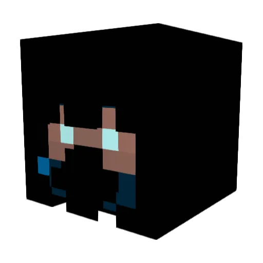 deathstrider941 Minecraft avatar head, 3D render