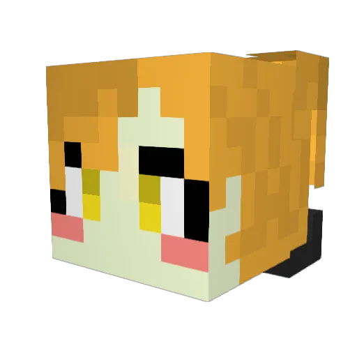 deathsword1030 Minecraft avatar head, 3D render