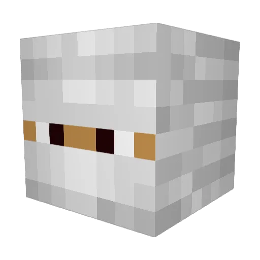 deathth Minecraft avatar head, 3D render