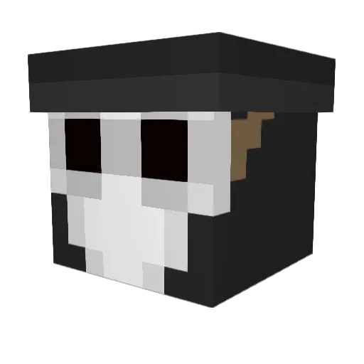 deathwalkerking Minecraft avatar head, 3D render