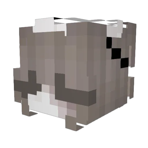 debbnotfound Minecraft avatar head, 3D render