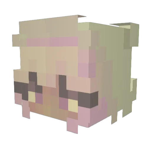 debnizzle Minecraft avatar head, 3D render
