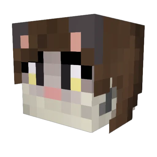 debomb104 Minecraft avatar head, 3D render