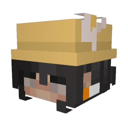 decath Minecraft avatar head, 3D render