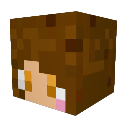 decaxx Minecraft avatar head, 3D render