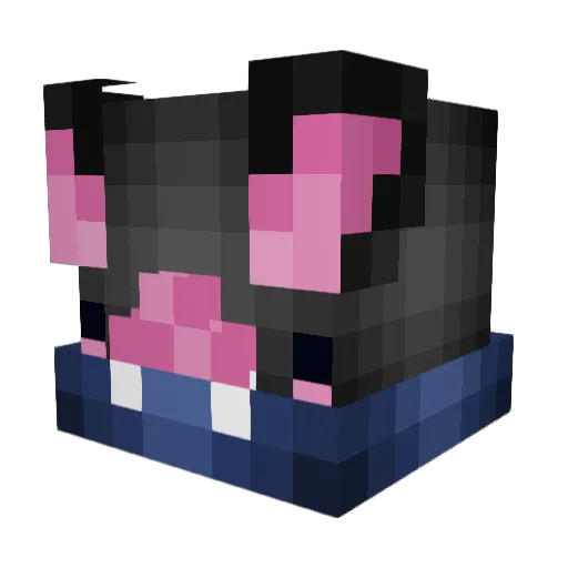 decayingkidneys Minecraft avatar head, 3D render