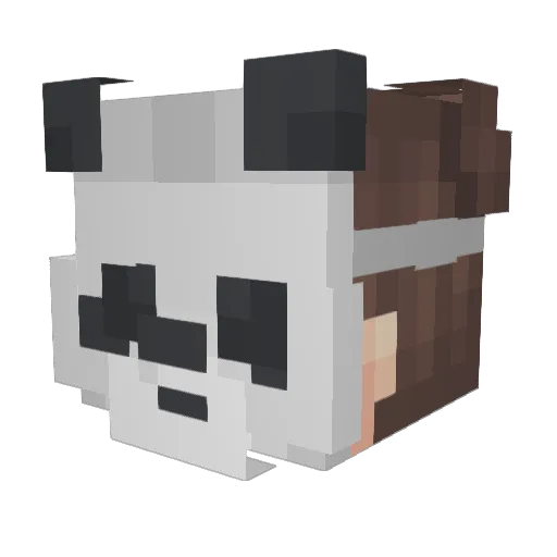 decipherer Minecraft avatar head, 3D render