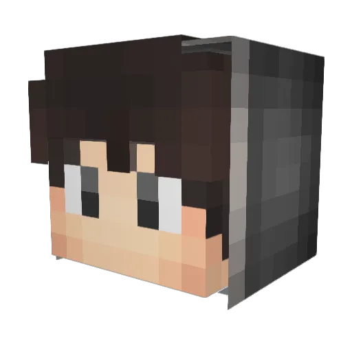 decisions Minecraft avatar head, 3D render