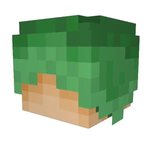 deckelf Minecraft avatar head, 3D render