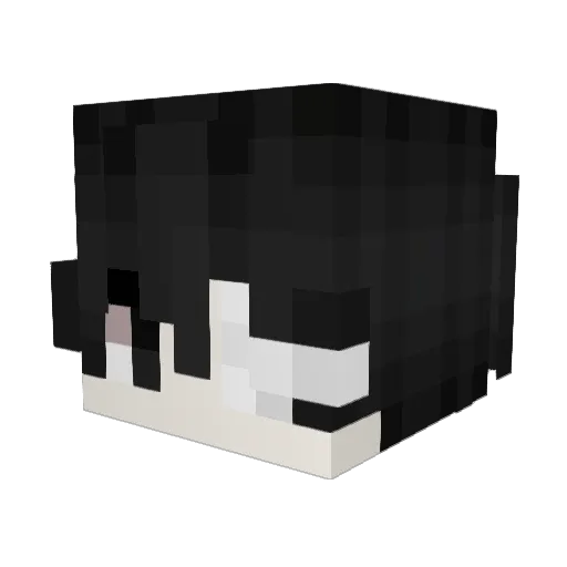 deckwr Minecraft avatar head, 3D render