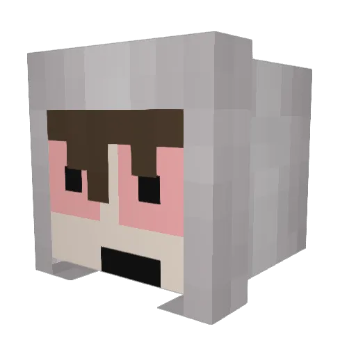 declanut Minecraft avatar head, 3D render