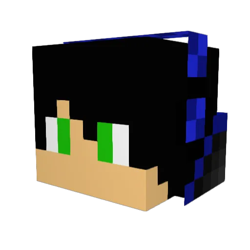 decoder_2q Minecraft avatar head, 3D render