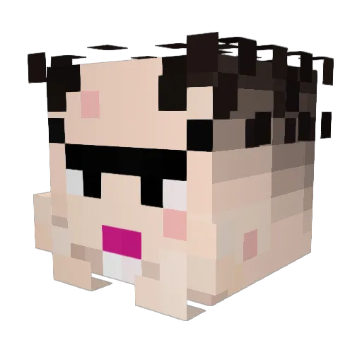 decotp Minecraft avatar head, 3D render