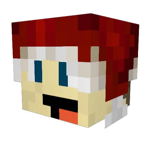 decwalker12 Minecraft avatar head, 3D render