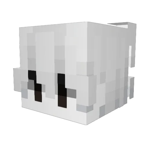 dedc Minecraft avatar head, 3D render