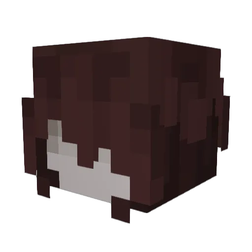 dedf1sh Minecraft avatar head, 3D render