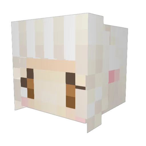 deebon Minecraft avatar head, 3D render