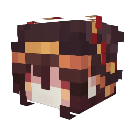 deeknbowls Minecraft avatar head, 3D render