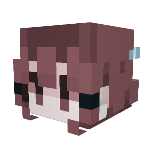 deemorgn Minecraft avatar head, 3D render