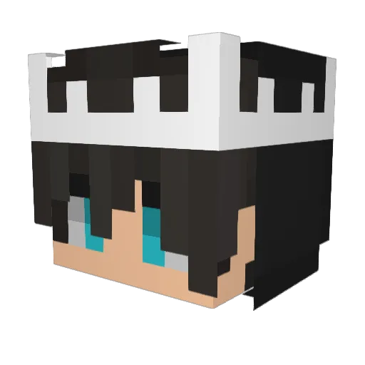 deepdarker Minecraft avatar head, 3D render