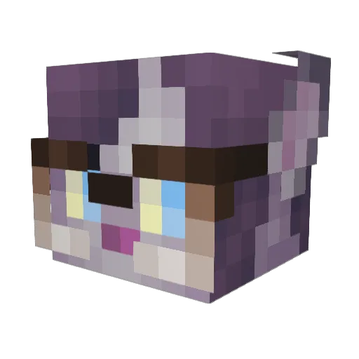 deerboy420 Minecraft avatar head, 3D render