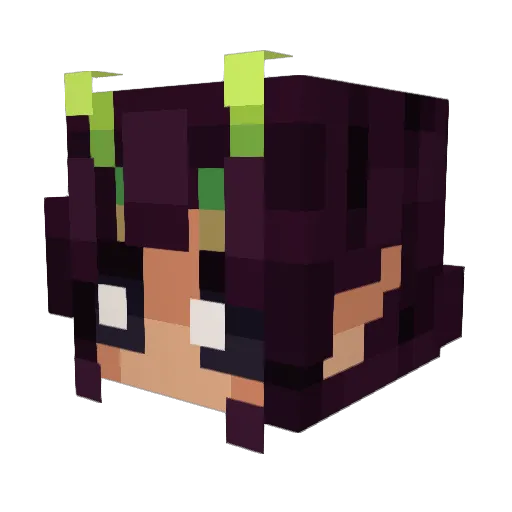 deerhunter5064 Minecraft avatar head, 3D render