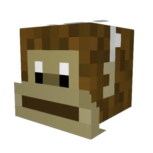 deeznatss Minecraft avatar head, 3D render