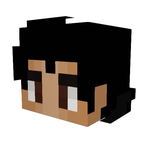defaultgamer592 Minecraft avatar head, 3D render