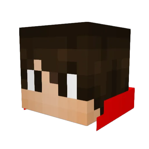 defaultman707 Minecraft avatar head, 3D render