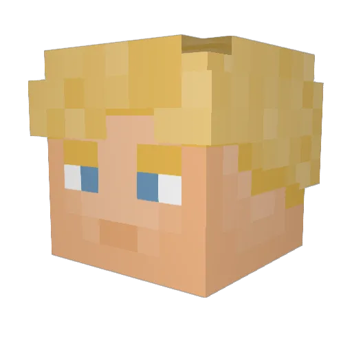 defender1569 Minecraft avatar head, 3D render