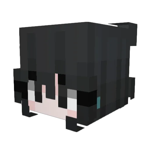 defenestrate_me Minecraft avatar head, 3D render