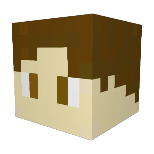 definedsoup Minecraft avatar head, 3D render