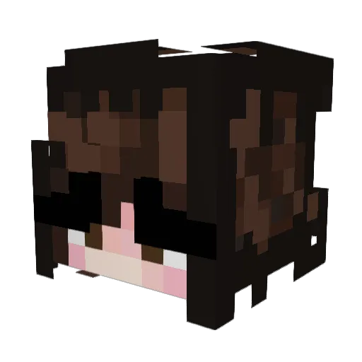 definitelyVizzy Minecraft avatar head, 3D render