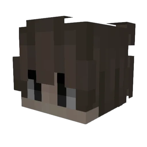 deflesh Minecraft avatar head, 3D render