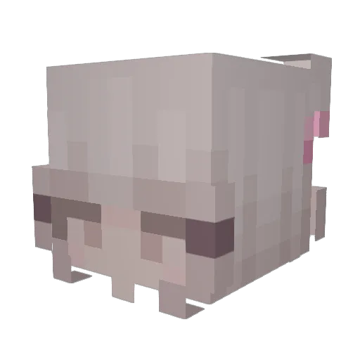 defnotdree Minecraft avatar head, 3D render