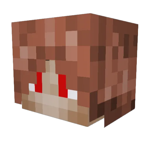 defury1337 Minecraft avatar head, 3D render