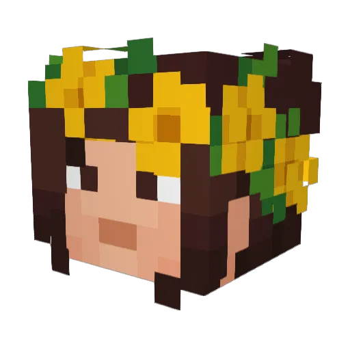 defyingravity360 Minecraft avatar head, 3D render