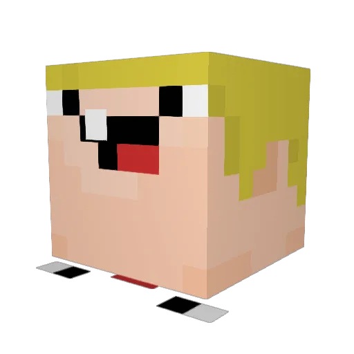 dehler Minecraft avatar head, 3D render
