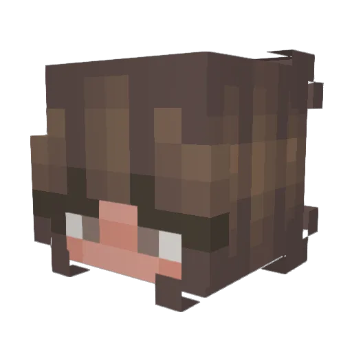 deideistar Minecraft avatar head, 3D render