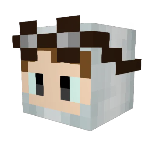 deiipy Minecraft avatar head, 3D render