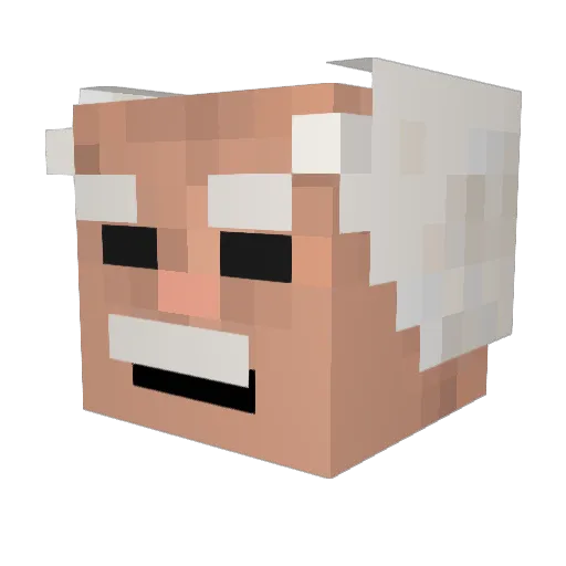 dein_opa23 Minecraft avatar head, 3D render