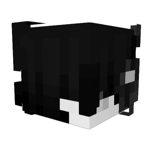 deivy2508 Minecraft avatar head, 3D render